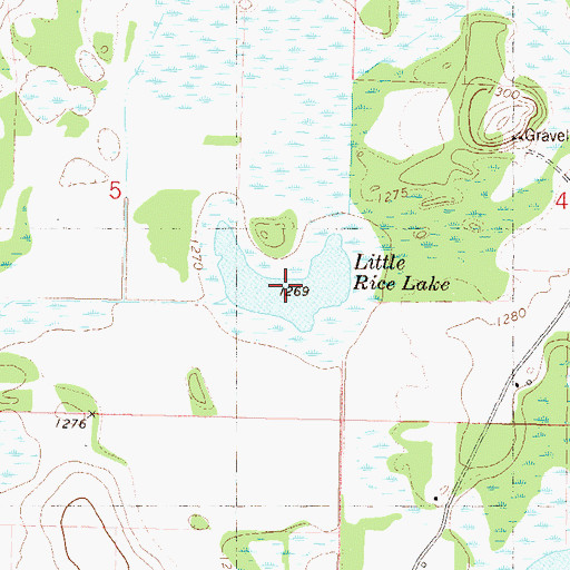 Topographic Map of Little Rice Lake, MN
