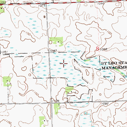 Topographic Map of Saint Leo State Wildlife Management Areas, MN