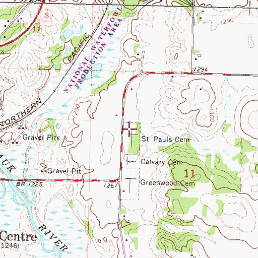 Topographic Map of Saint Pauls Cemetery, MN
