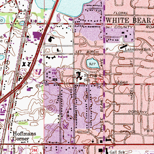 Topographic Map of Saint Pius X School, MN