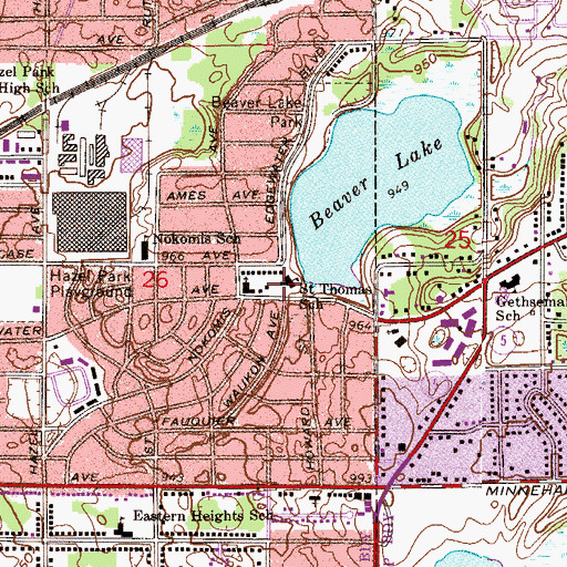Topographic Map of Saint Thomas School, MN