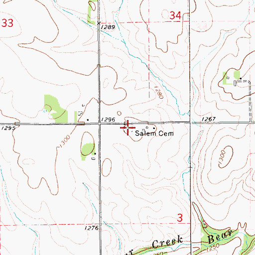 Topographic Map of Salem Cemetery, MN