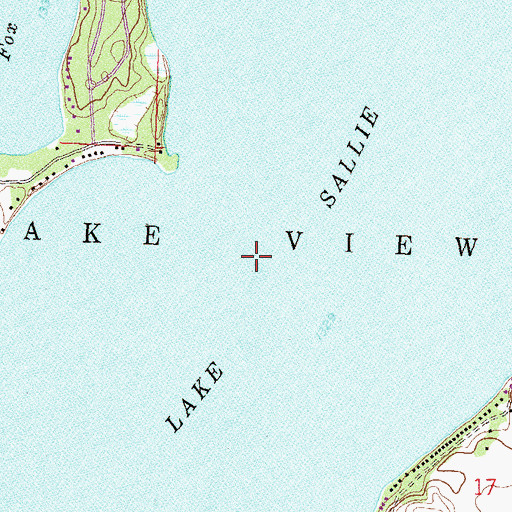 Topographic Map of Lake Sallie, MN