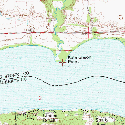 Topographic Map of Salmonson Point, MN