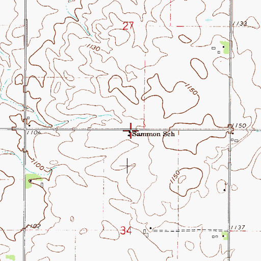 Topographic Map of Sammon School, MN