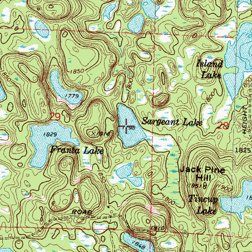 Topographic Map of Sargeant Lake, MN