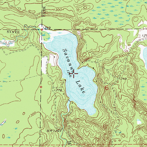 Topographic Map of Savanna Lake, MN
