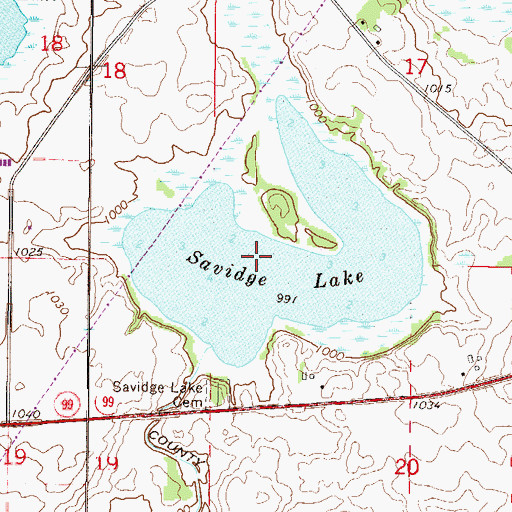 Topographic Map of Savidge Lake, MN
