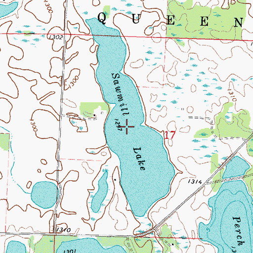 Topographic Map of Sawmill Lake, MN