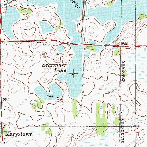 Topographic Map of Schneider Lake, MN