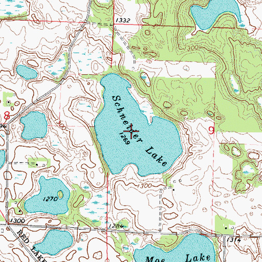Topographic Map of Schneider Lake, MN