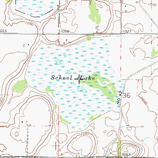 Topographic Map of School Lake, MN