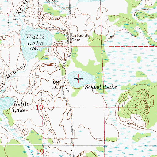 Topographic Map of School Lake, MN