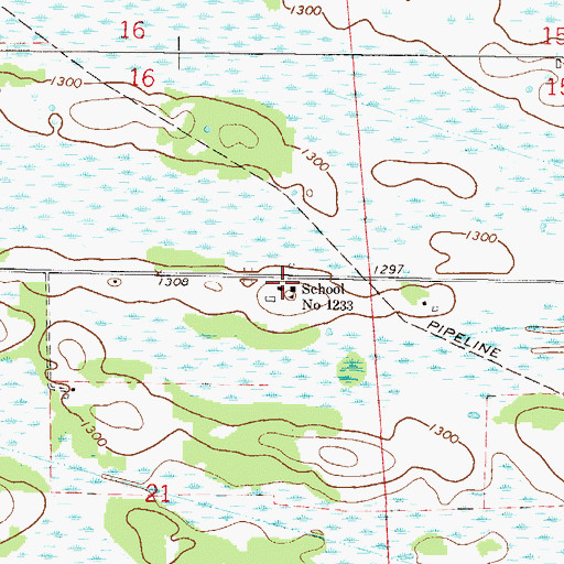 Topographic Map of School Number 1233, MN