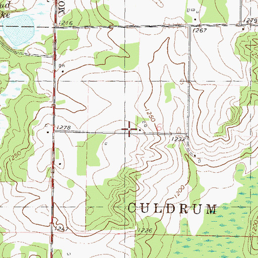 Topographic Map of School Number 132, MN