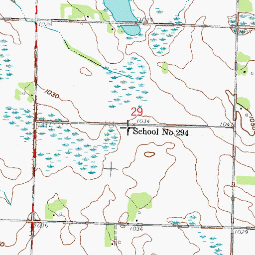 Topographic Map of School Number 294, MN
