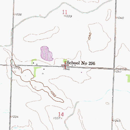 Topographic Map of School Number 295, MN