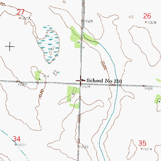 Topographic Map of School Number 310, MN