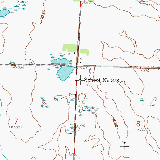 Topographic Map of School Number 313, MN