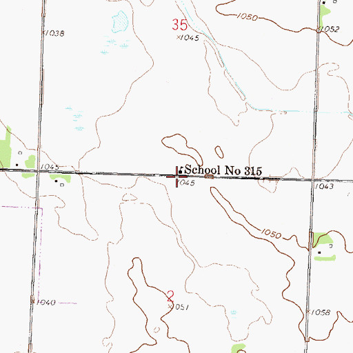 Topographic Map of School Number 315, MN