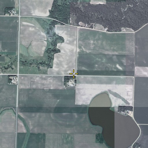 Aerial/Satellite Image of School Number 34, MN
