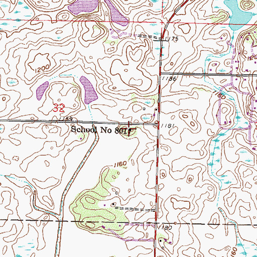 Topographic Map of School Number 801, MN