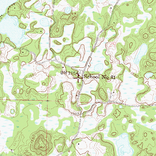 Topographic Map of School Number 81, MN