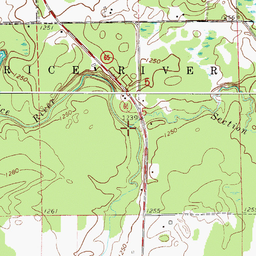 Topographic Map of Section Five Creek, MN