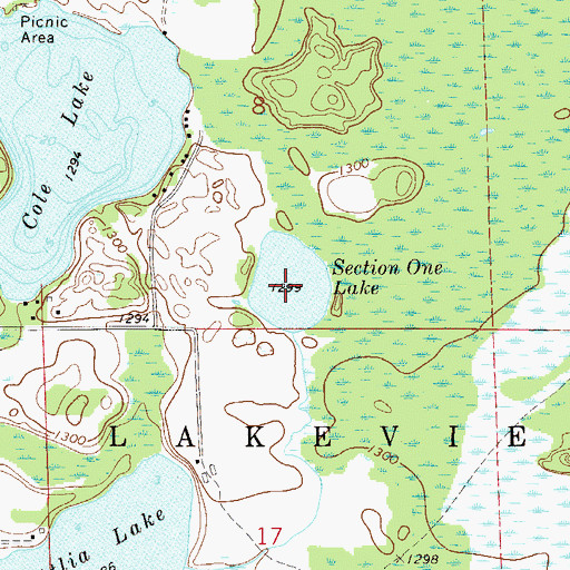 Topographic Map of Section One Lake, MN