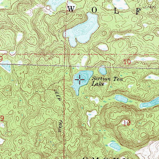 Topographic Map of Section Ten Lake, MN