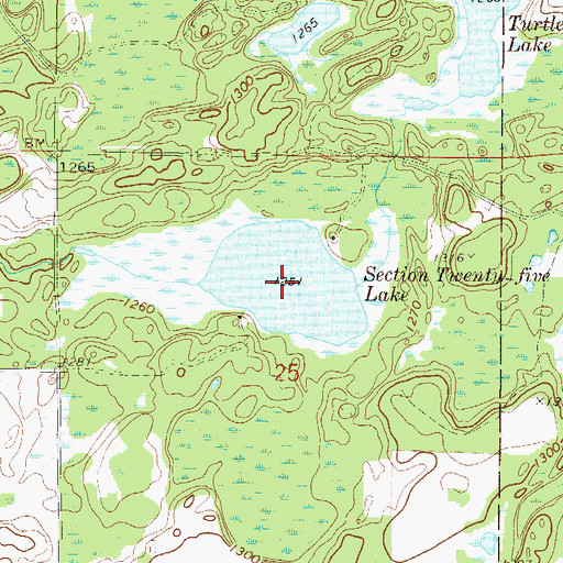 Topographic Map of Section Twenty-Five Lake, MN