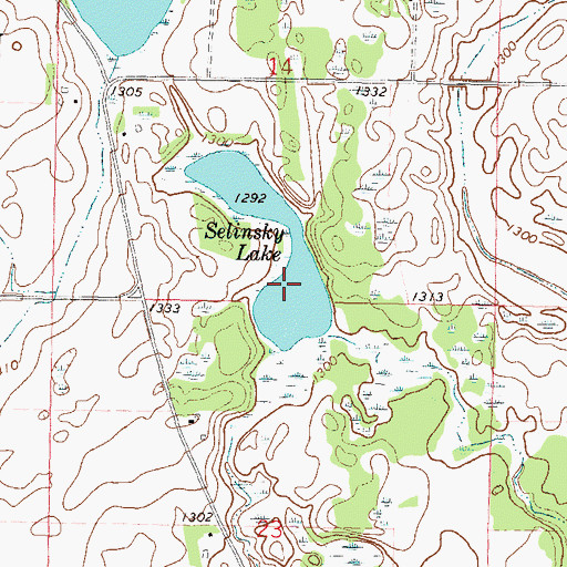 Topographic Map of Selinsky Lake, MN