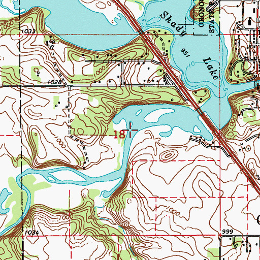Topographic Map of Shady Lake, MN