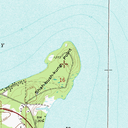 Topographic Map of Shah-bush-kung Point, MN