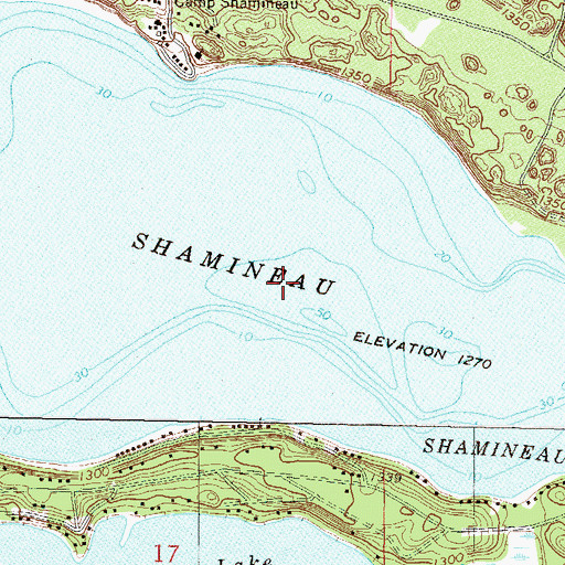 Topographic Map of Shamineau Lake, MN