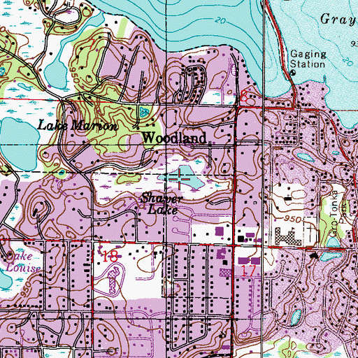 Topographic Map of Shaver Lake, MN