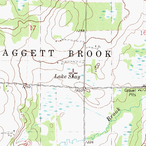 Topographic Map of Lake Shay, MN