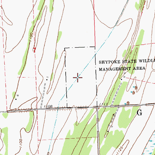 Topographic Map of Shypoke State Wildlife Management Area, MN