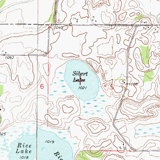 Topographic Map of Sibert Lake, MN