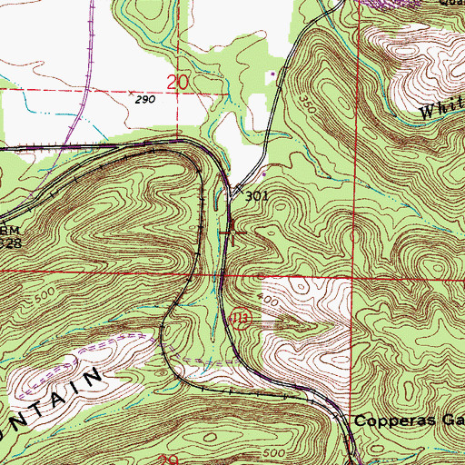 Topographic Map of Copperas Spring School (historical), AR