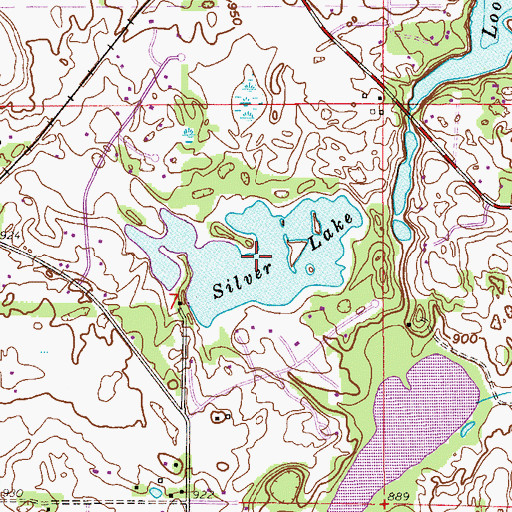 Topographic Map of Silver Lake, MN