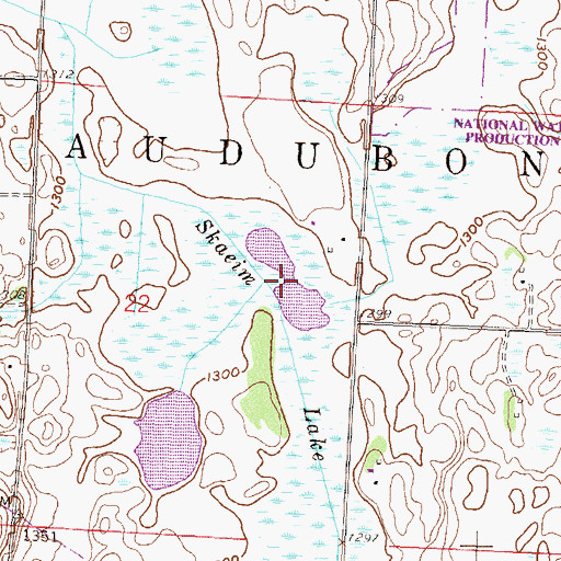 Topographic Map of Skaein Lake, MN