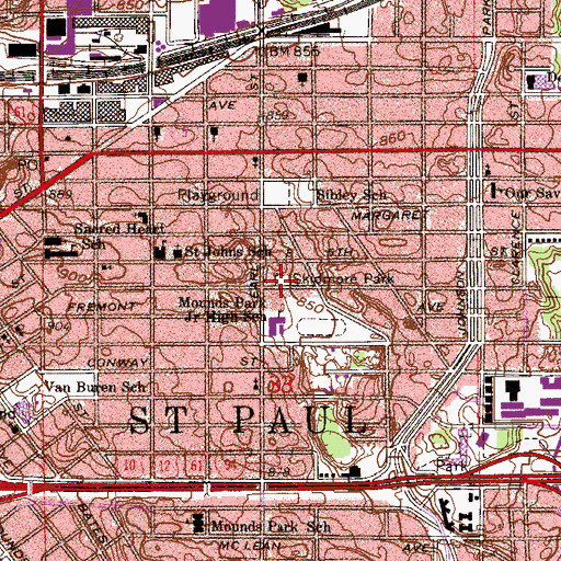 Topographic Map of Skidmore Park, MN
