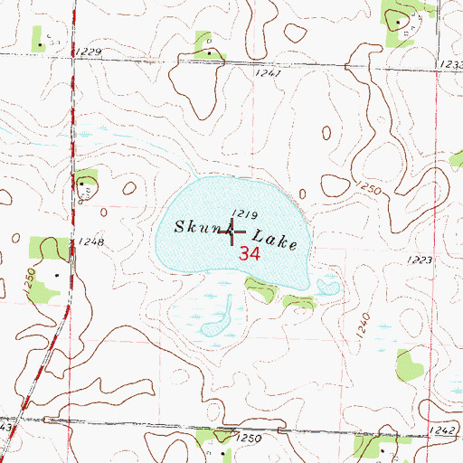 Topographic Map of Skunk Lake, MN