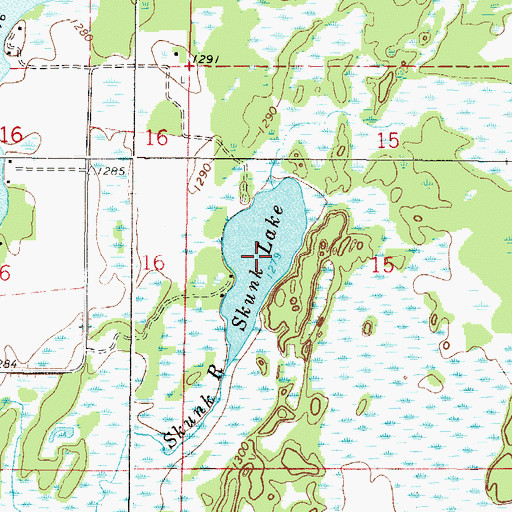 Topographic Map of Skunk Lake, MN