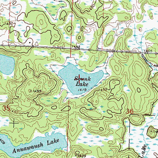 Topographic Map of Skunk Lake, MN