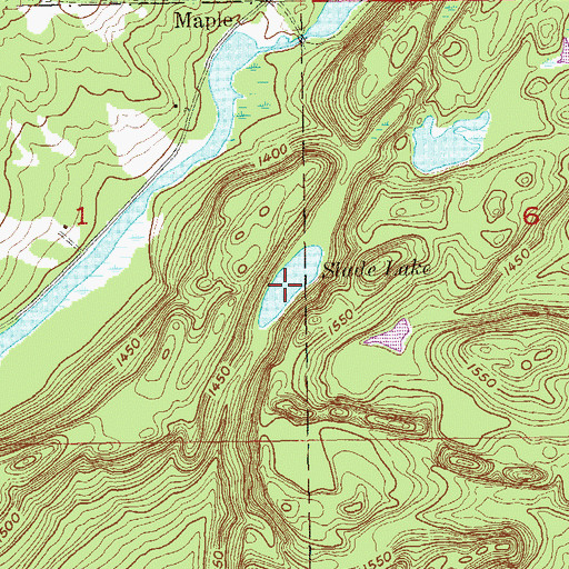 Topographic Map of Slade Lake, MN
