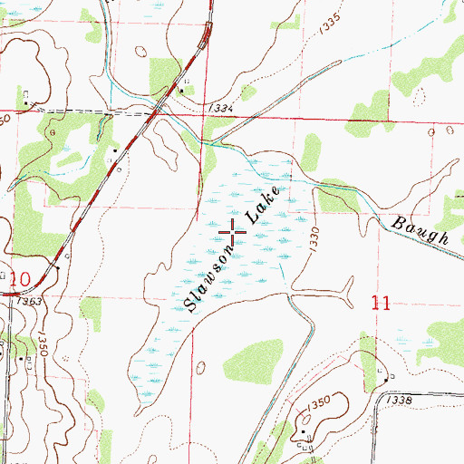 Topographic Map of Slawson Lake, MN