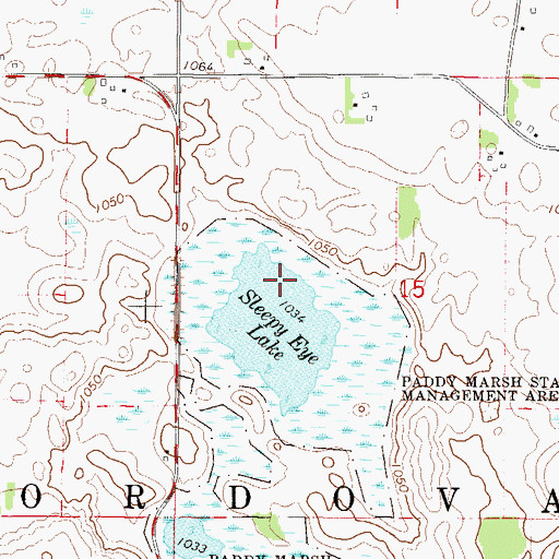 Topographic Map of Sleepy Eye Lake, MN