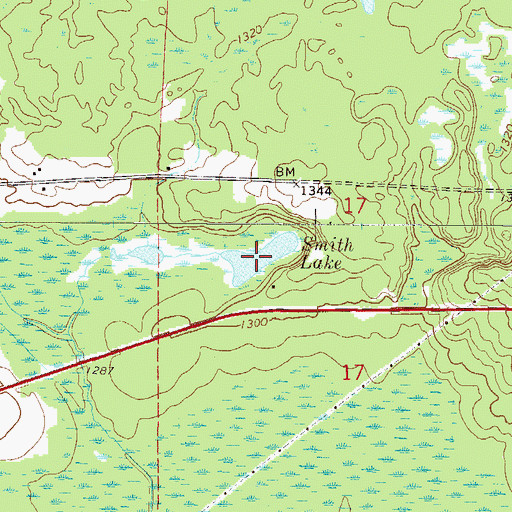 Topographic Map of Smith Lake, MN